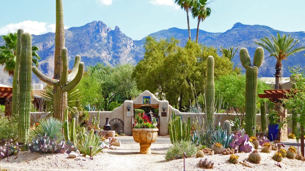 Homes for sale in Tucson Arizona