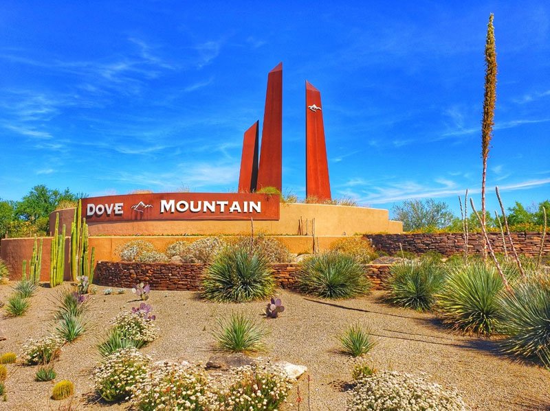 Dove Mountain Homes for Sale
